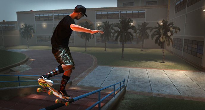 tony hawk