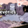 Isle of Reveries REVIEW